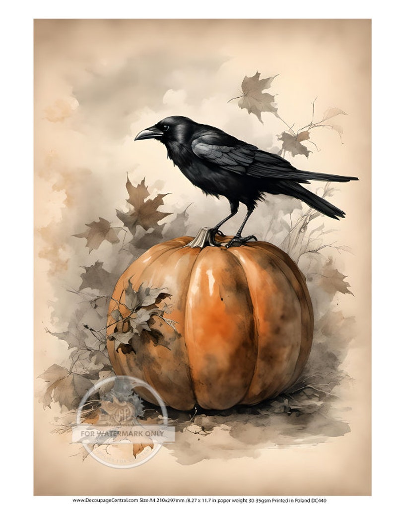 May include: Watercolor illustration of a black crow perched on a large orange pumpkin. The pumpkin is surrounded by autumn leaves in shades of brown and gray, set against a sepia-toned background. A seasonal, fall-themed artwork.