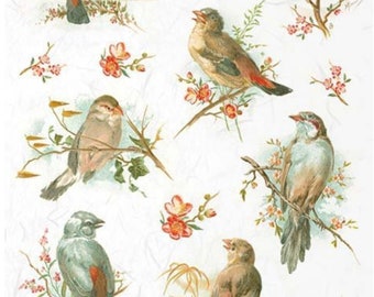 A4 Spring Birds,  ITD  Decoupage Paper R1069
