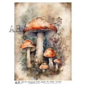 May include: Watercolor illustration of several mushrooms with red and white spotted caps and white stems. The mushrooms are set against a backdrop of muted greens and browns, with the text "Decoupage rice paper No. 5625".