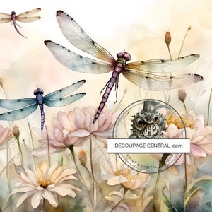 A4 Dragonfly Fields  Decoupage Rice Paper, DC233