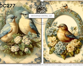 May include: Two bluebirds perched on a branch with white blossoms. The birds are facing each other and have a light blue and brown plumage. The background is a light blue and white floral design. The image is labeled "DC277".