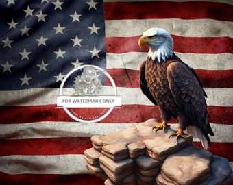 A3 Grunge American Flag with Eagle Decoupage Paper DC5003