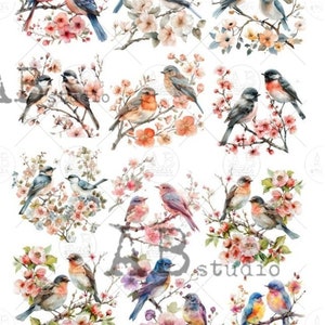 A4  Beautiful Bird Minis Carte Italiano Rice Paper 84