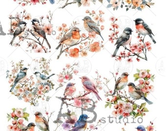 A4  Beautiful Bird Minis Carte Italiano Rice Paper 84