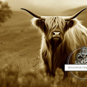 Digital Download: Sepia Highland Cow, Digital Download in PNG print,