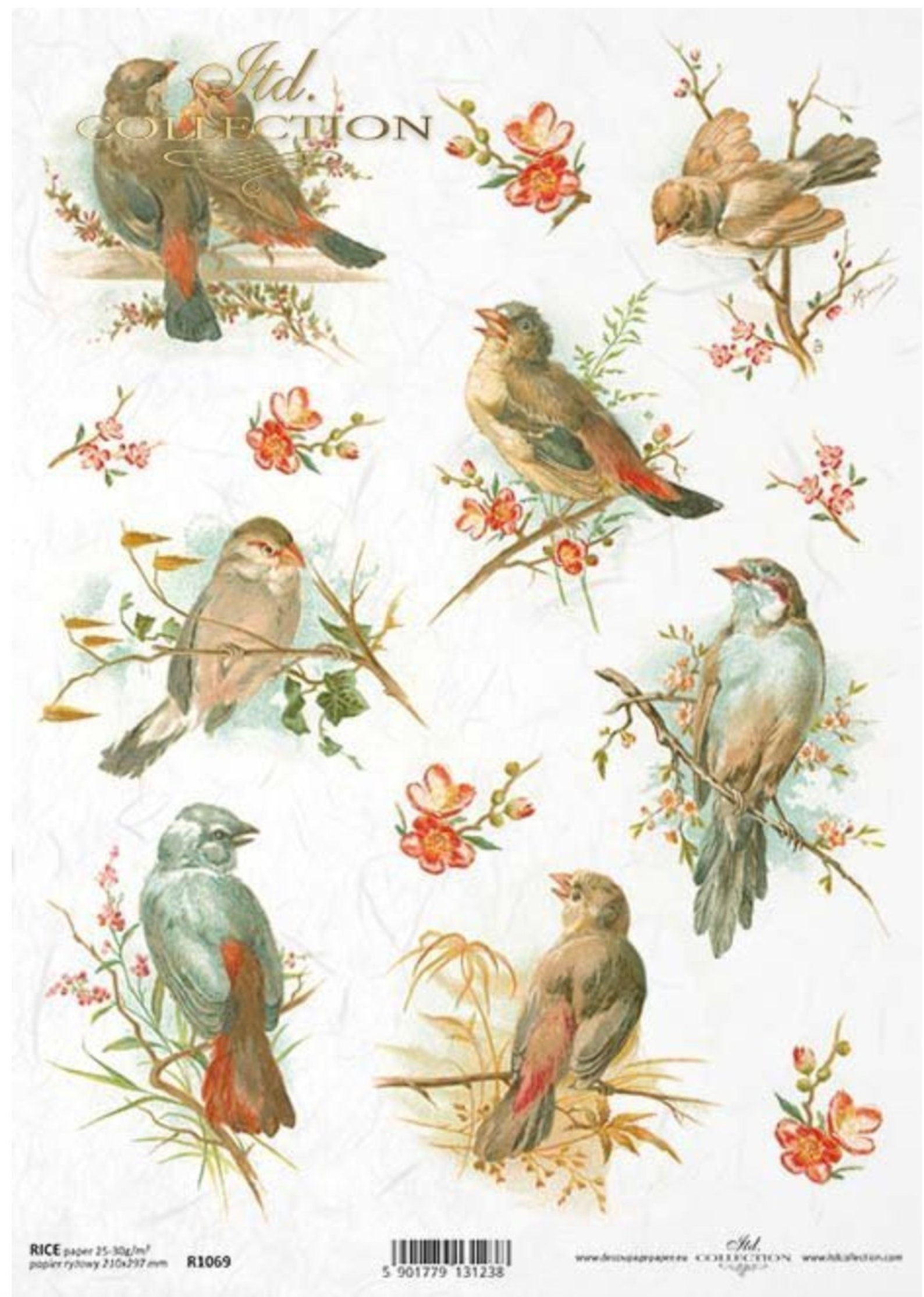 Spring Decopauge A4 Spring Birds, ITD Decoupage Paper R1069 - Etsy