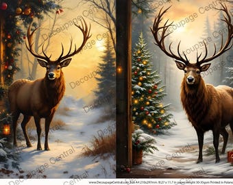 A4 Winter Stag Duo Rice Paper DC837