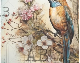 A4  Hummingbird Bird  Carte Italiano Rice Paper 92