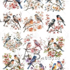 A4 Beautiful Bird Minis Carte Italiano Rice Paper 84