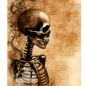 May include: A vintage-style illustration of a human skeleton with a skull, set against a background of faded parchment with cursive writing and floral designs.