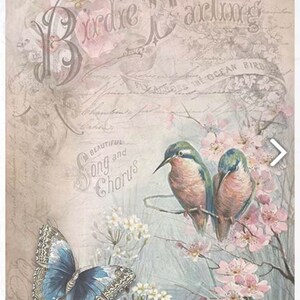 A4 Birds and the Butterfly ITD Rice Paper R0977 - Etsy