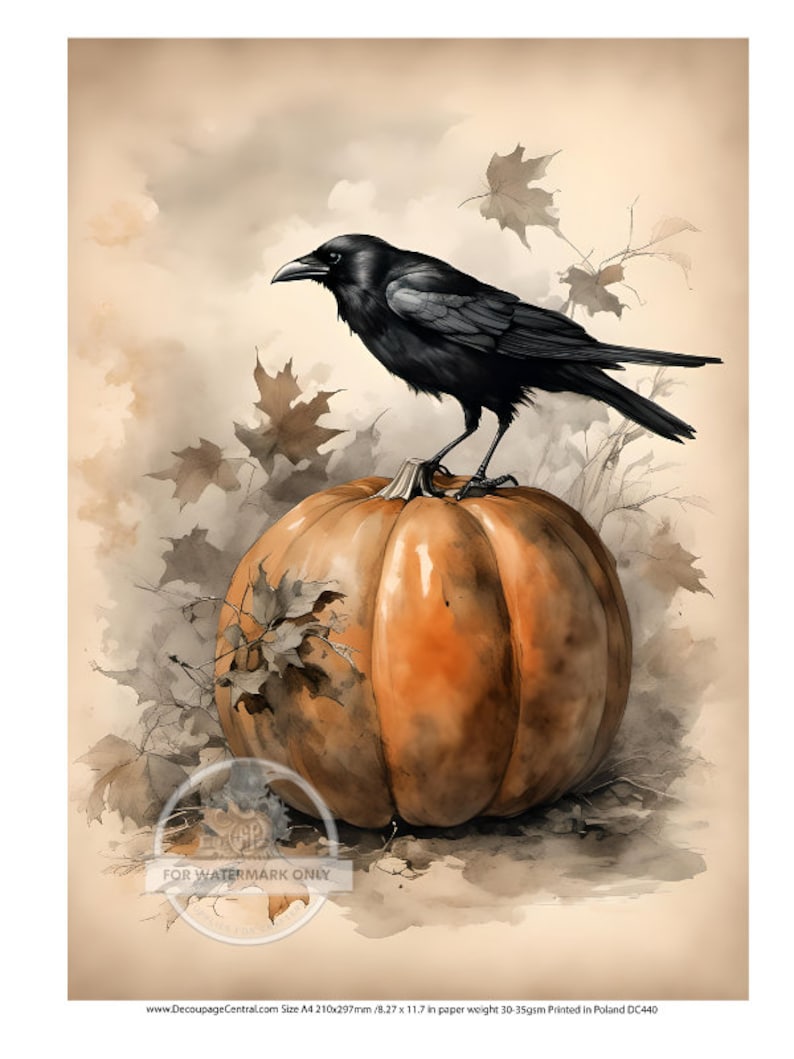 May include: Watercolor illustration of a black crow perched on a large orange pumpkin. The pumpkin is surrounded by autumn leaves in shades of brown and gray, set against a sepia-toned background. A seasonal, fall-themed artwork.