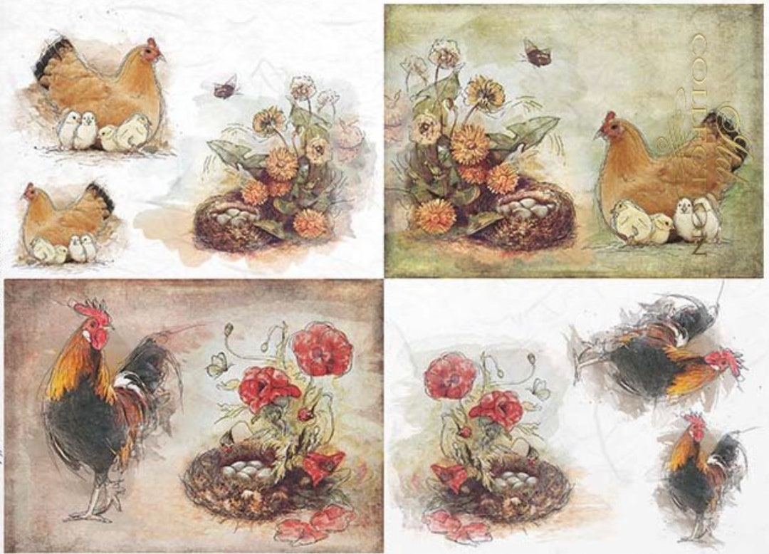 A4 the Nested Hen Decoupage Rice Paper 1352 - Etsy