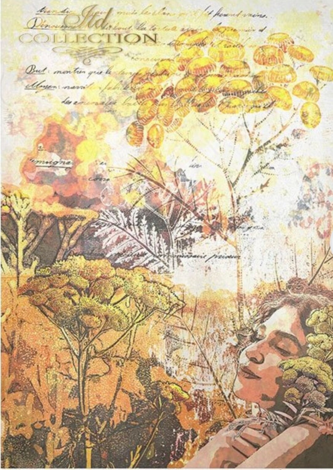 A4 ITD the Face of Nature Yellow Rice Paper R2079 - Etsy