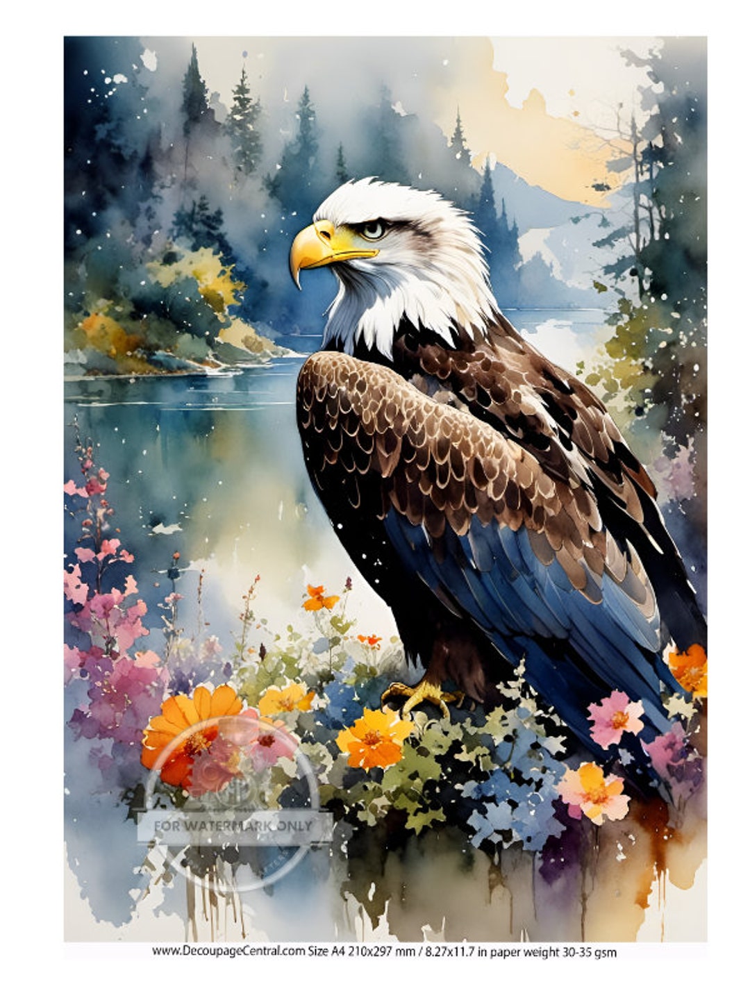 Digital Download: Eagle , Digital Download in PNG Print, - Etsy