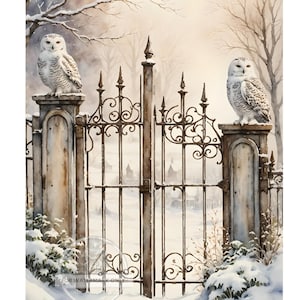 A4 Guardian Owl Decoupage Rice Paper, DC433