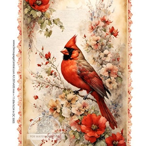 May include: A watercolor-style print featuring a vibrant red cardinal perched on a branch amidst red and peach-colored flowers. The background has a vintage aesthetic with script and a decorative border.