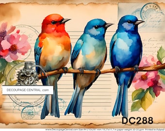 A4 Beautiful Birds Postale Decoupage Rice Paper, DC 288