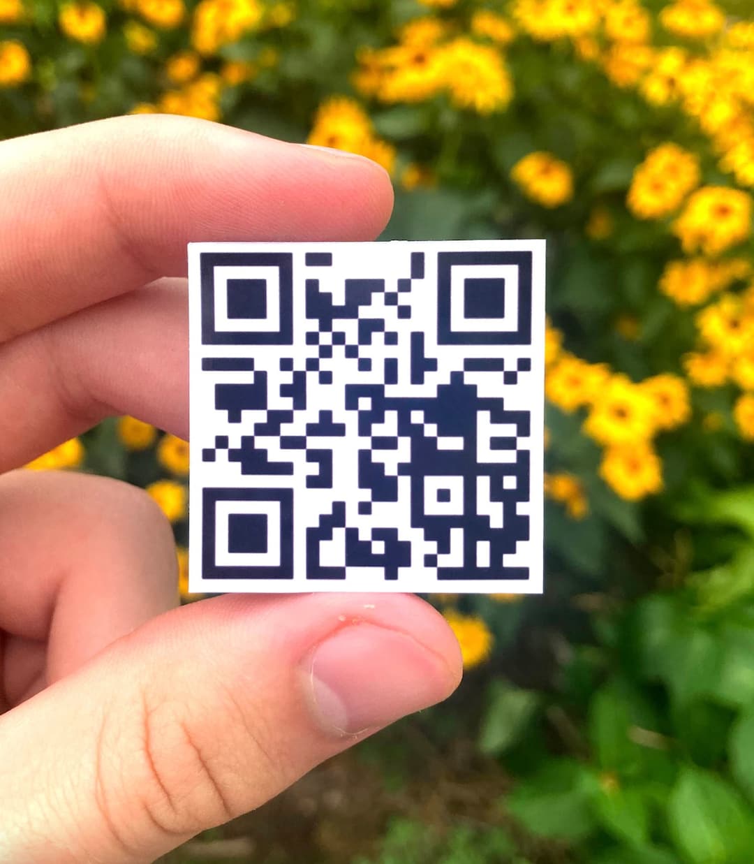 Rick Roll QR Code Sticker  Video Link -  Canada