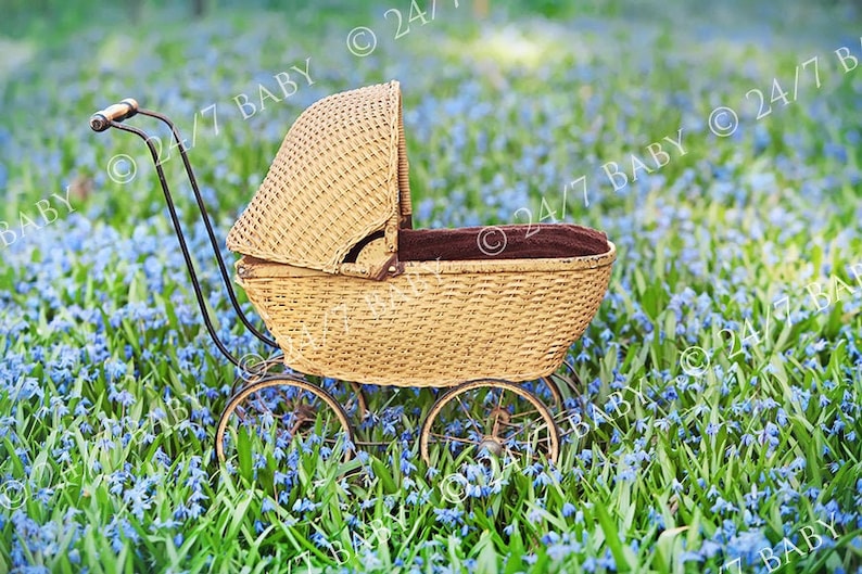 Digital Newborn Backdrop Prop Spring Blue Flower Field Vintage Baby Carriage Pram Baby Photography