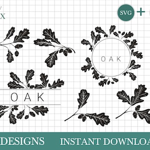 Hand drawn oak SVG bundle, oak leaves svg, oak acorn SVG by Oxee, oak wreath, oak monogram svg