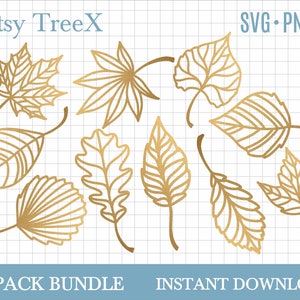 Layered Blatt Bundle svg von Oxee, Blätter svg, Herbst Blatt svg, Herbst Blatt svg, Skelett Blatt svg, Blatt Clipart, Lasercut svg, Blatt svg