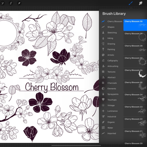 Cherry Blossom procreate stamps by Oxee, Ipad procreate stamps, cherry monogram stamp, cherry wreath procreate stamps