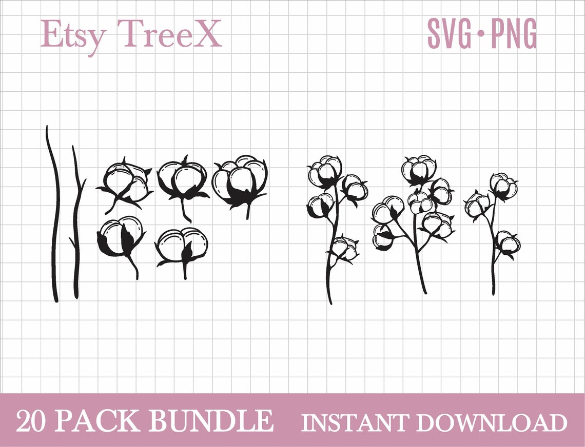 Cotton Flower SVG Bundle Cotton Bulbs Cut File Hand Drawn - Etsy