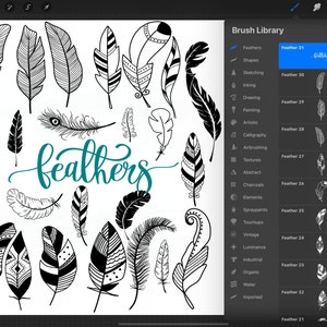 Feather procreate stamps bundle by Oxee, Ipad procreate stamps, boho feathers stamp, peacock feather procreate stamps