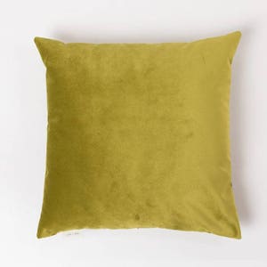 May include: A solid green velvet pillow with a square shape.