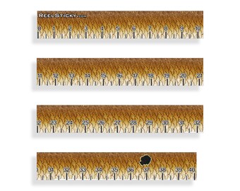 Download Fishing ruler | Etsy
