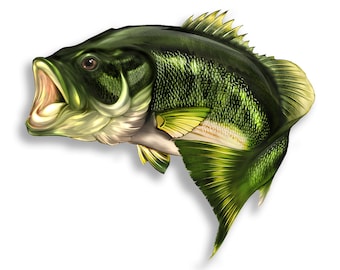 12" Largemouth Bass Fish Sticker Large mouth Fishing tackle box boat trailer camper pontoon camping Car Vehicle Window Bumper Dad Decal