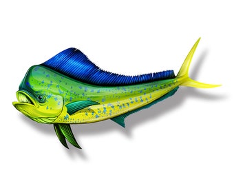 24 inch Mahi Fish Sticker Saltwater Ocean Fishing Decal Kayak Paddle Board Car Truck Boat Window Bumper Decal Graphic