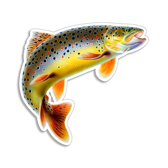 Brown Trout Fish Sticker River Fly Fishing Speckled Stream Trout Fishing  Decal Silver Fisherman Freshwater Boat Vinyl High Gloss Label -  Israel