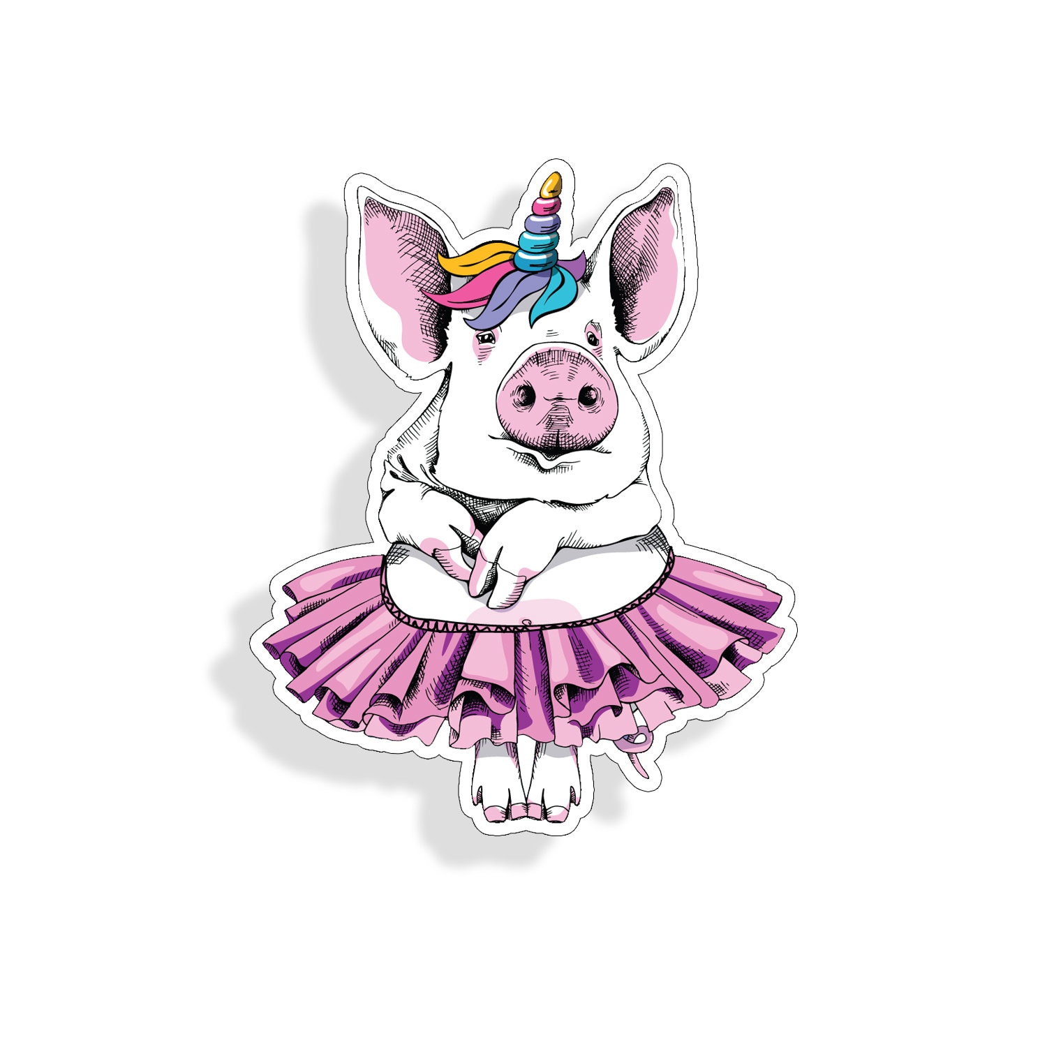 Pig Unicorn Rainbow Dancing Tutu 