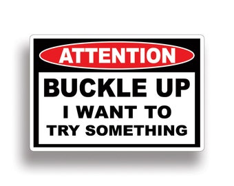 Buckle Up I Want To Try Something Funny Vinyl Sticker Bumper Decal atv sxs rzr xp Stunt Car Truck Graphic