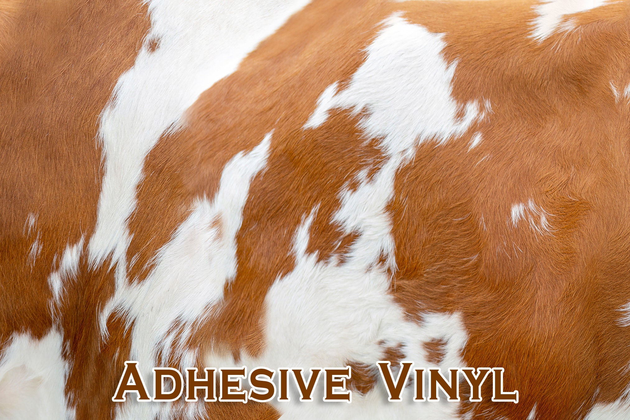 Cow Print Adhesive Vinyl
