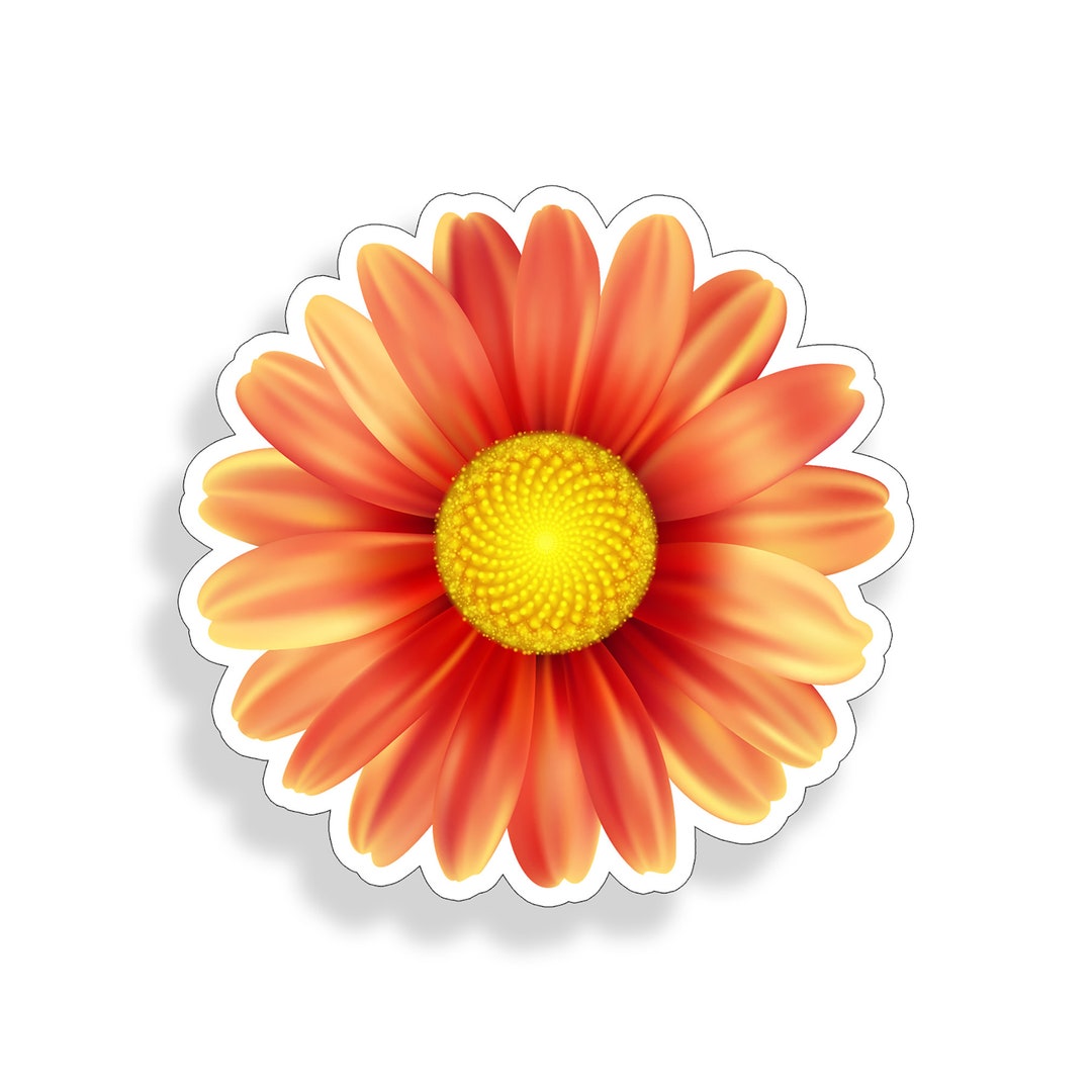 Orange Daisy Sticker Flower Vinyl Decal Cup Laptop Luggage Car Window ...