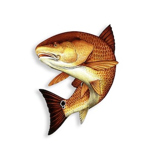 5&quot; Redfish Swim Red Fish Sticker Vinyl Fishing Drum Cup Laptop Boat Kayak Tackle Box Cooler Car Truck Vehicle Window Bumper Decal Graphic