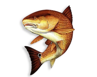 sticker CARPE ref 27 bateau pêche poisson chat autocollant