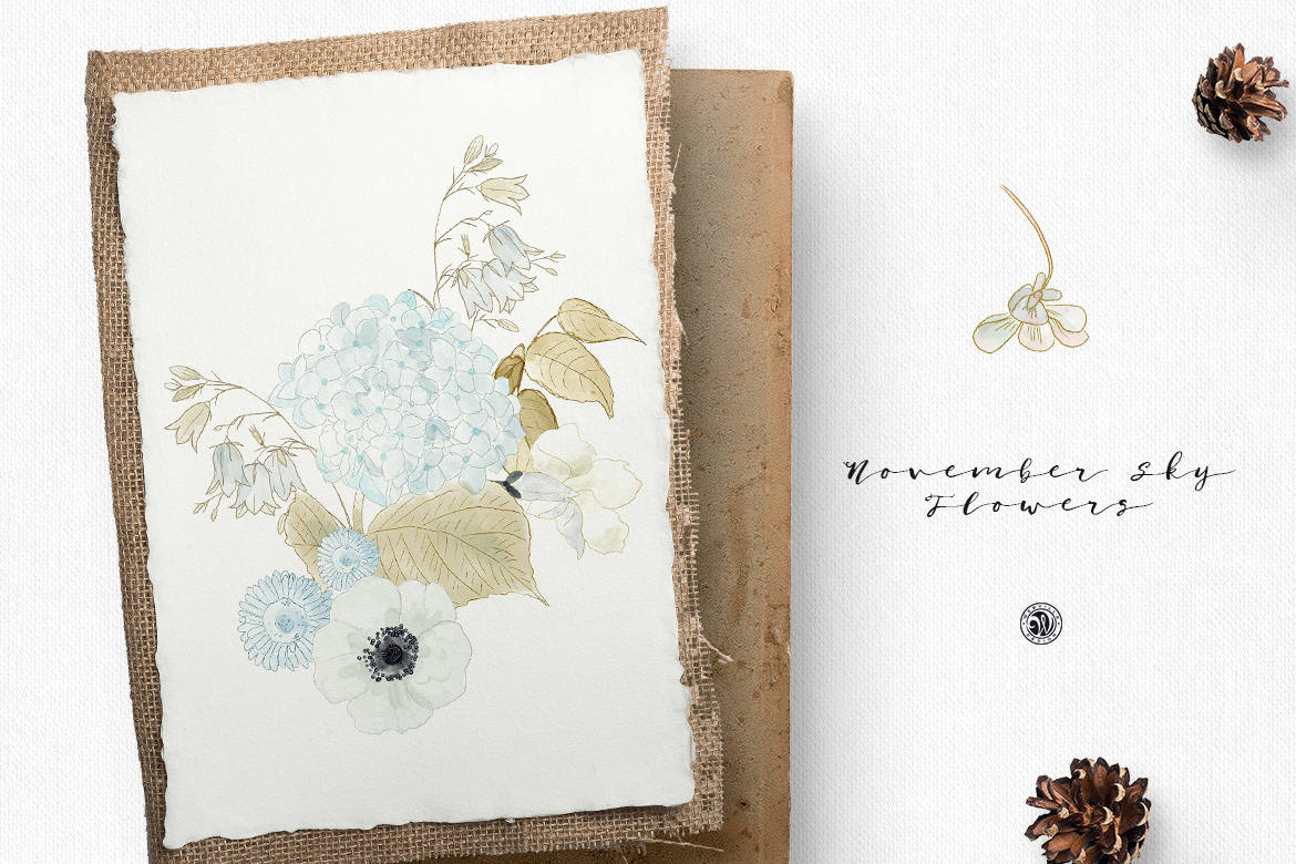 November Sky Flowers 11 Clipart Watercolor Flowers and Papers, Clipart