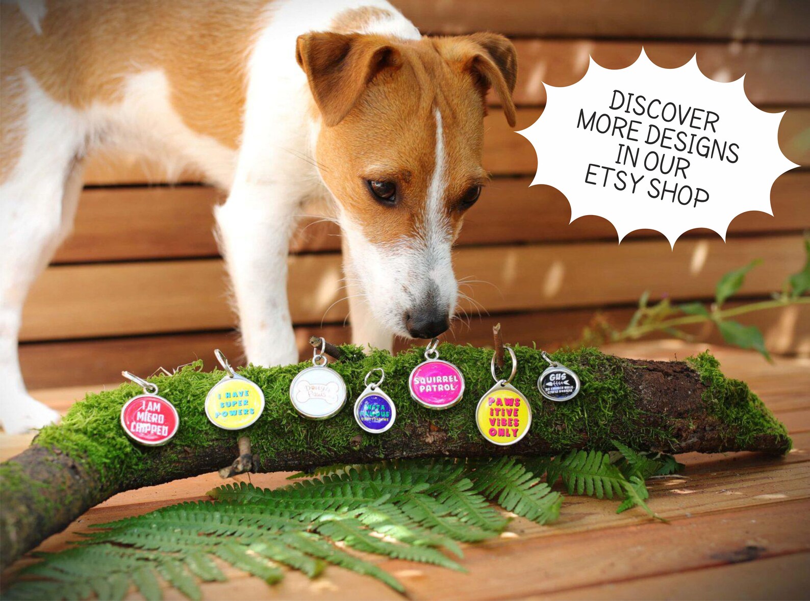 Deaf Dog Collar ID Tag Dog Tags for Deaf Dogs I Am Deaf Etsy