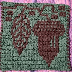 Serie de otoño: patrón de crochet de mosaico de bellota amplio