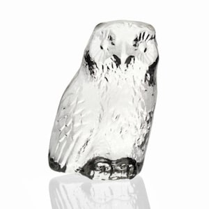 Pode incluir: Uma figura de coruja de vidro transparente com detalhes pretos nos olhos e nos pés. A coruja está em pé, com uma superfície texturizada. É um item decorativo para casa.