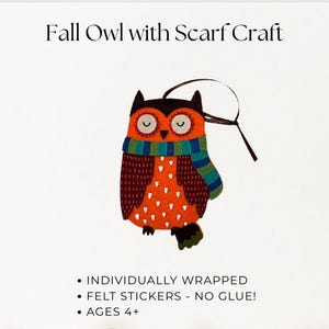 Owl Craft Kit Thanksgiving Table Favors Thanksgiving Activities for Kids Thanksgiving Crafts Classroom Party Favors Easy Crafts Thanksgiving Gift Basket