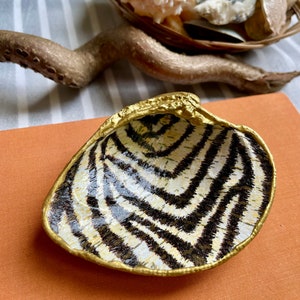 Könnte beinhalten: Eine dekorative Muschelschale mit goldfarbenem Rand und einem schwarz-weißen Zebrastreifenmuster. Die Schale liegt auf einer orangefarbenen Oberfläche, mit einem Ast und einem Korb mit Muscheln im Hintergrund.