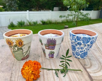 Citronella Candle | Bug Candle I Mosquito Candle | Bug Repellant Candle | Outdoor Candle | Patio Decor