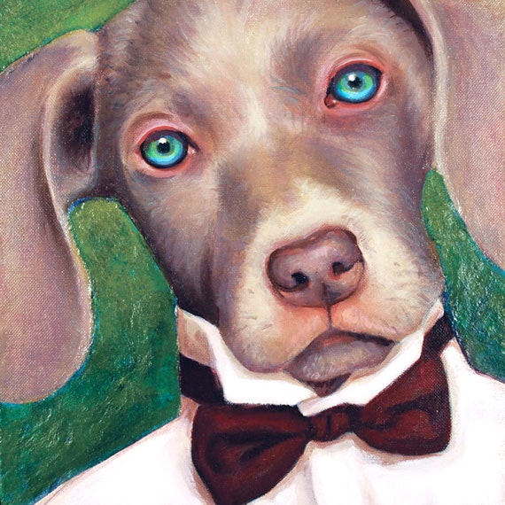 rhodesian ridgeback blue eyes