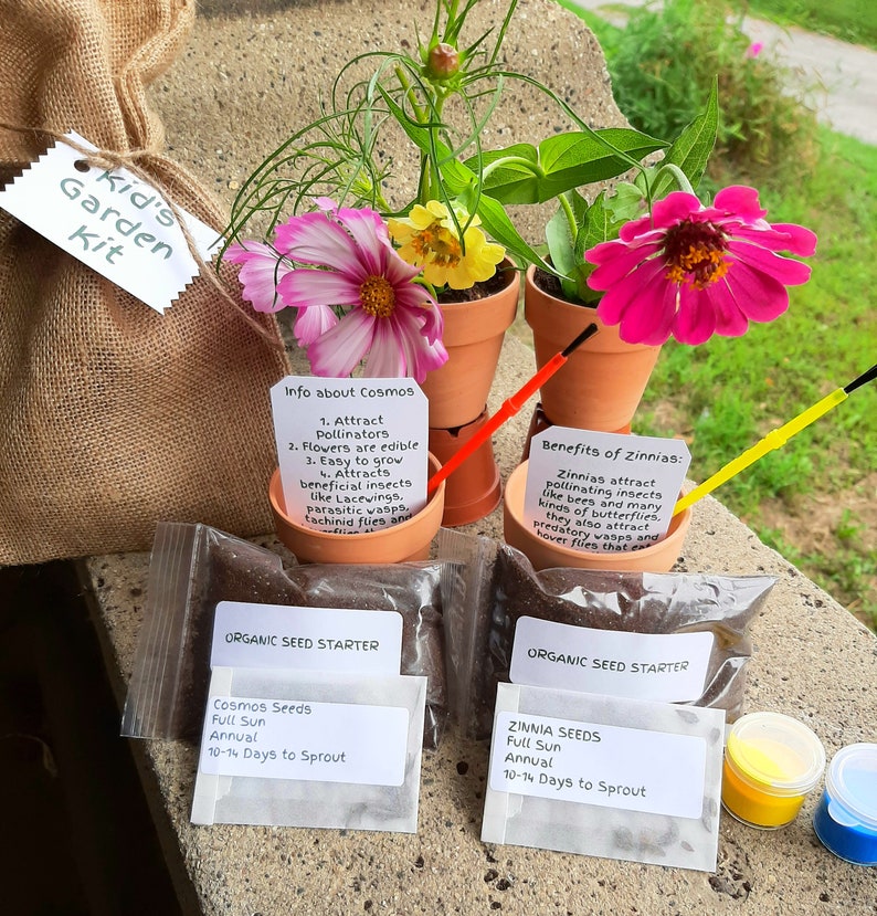 Seed kit Kids gardening kit kids crafts DIY Garden Kit Etsy