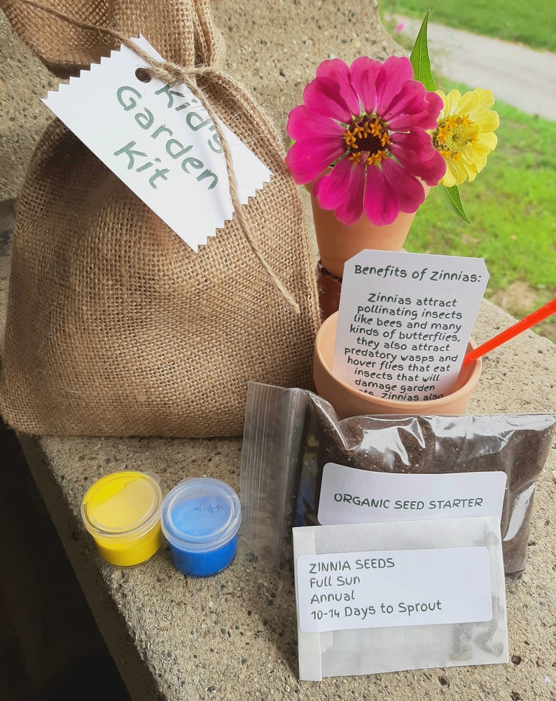 Seed kit Kids gardening kit kids crafts DIY Garden Kit Etsy